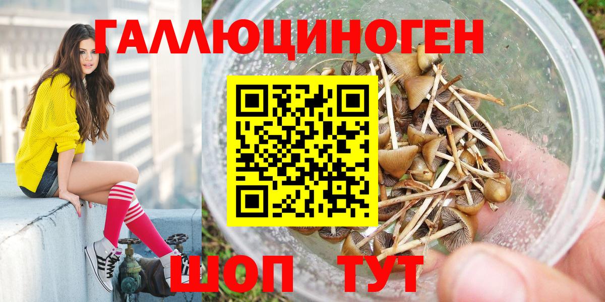 Псилоцибиновые грибы мухоморы Гусь-Хрустальный